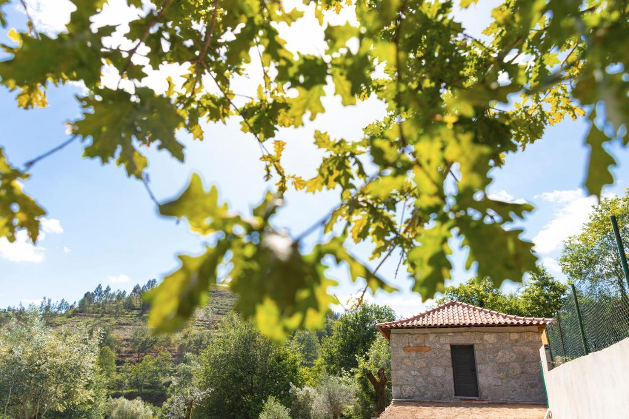 Casa Velha De Ponta Soto Villa Cela  Eksteriør billede